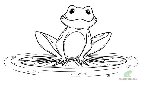 How to Draw a Cute Frog Easy 🐸 Step-by-Step