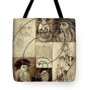 Leonardo Da Vinci Sketches Golden Ratio Poster Mixed Media by Nenad ...