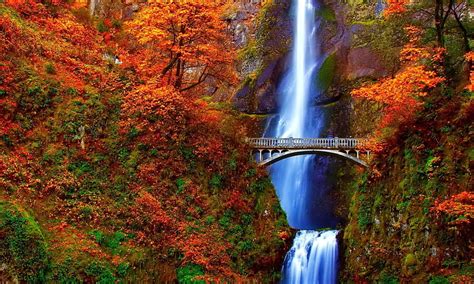 720P free download | Waterfall, oregon, autumn, bridge, HD wallpaper ...