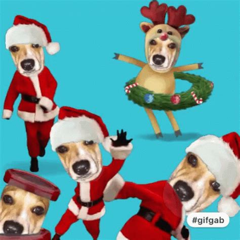 Christmas Dogs GIFs | Tenor