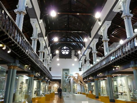 Glasgow Hunterian Museum – Glasgow, Scotland - Atlas Obscura