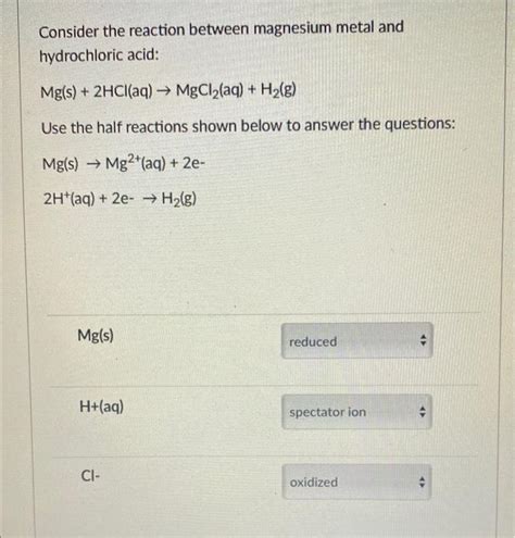 Solved Consider the reaction between magnesium metal and | Chegg.com