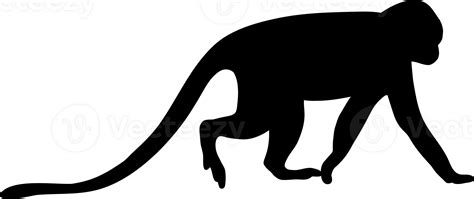 Animal Monkey Silhouette 24274005 PNG