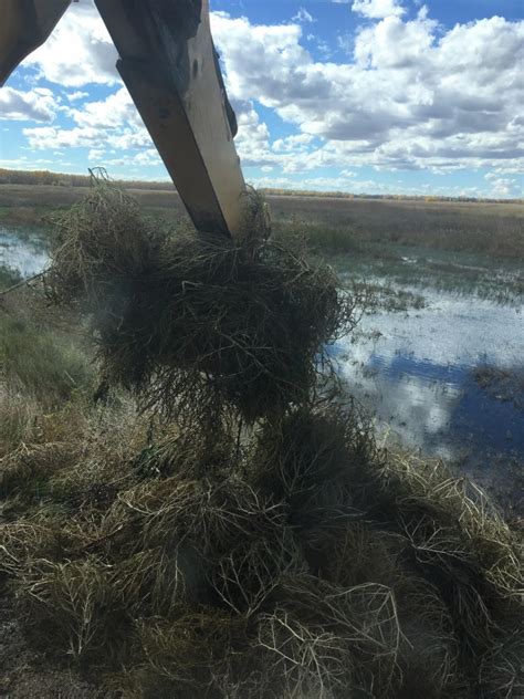 Habitat improvement project at Jackson Lake State Wildlife Area will benefit waterfowl ...