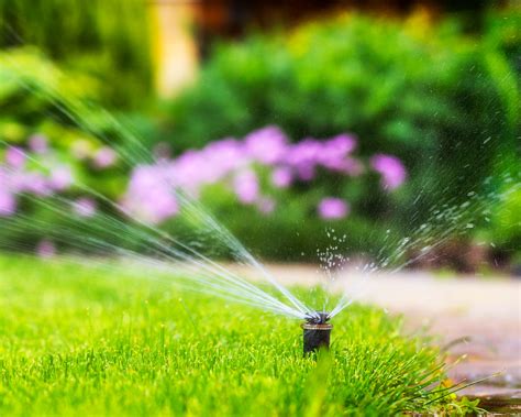 How to replace a sprinkler head: a step-by-step guide | Gardeningetc