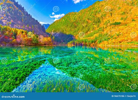 Five Flower Lake. stock photo. Image of natural, environment - 96675186