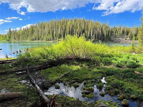 Grand Mesa Lakes: Top Lakes in Grand Mesa | Visit Grand Junction, Colorado