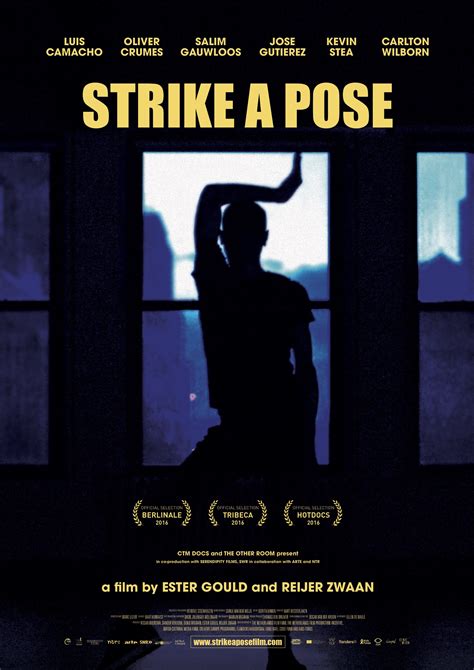 Strike a Pose (2016)