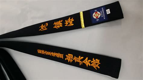 Professional kyokushin karate kyokushinkai black belt Japan Tokyodo ...