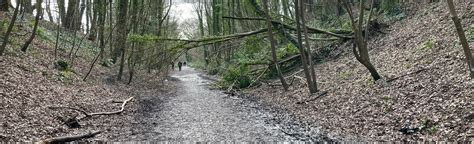 Meon Valley Off Road Cycle Trail, Hampshire, England - 49 Reviews, Map ...