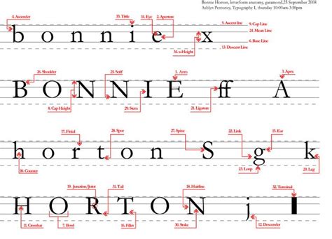 Anatomy Of Typography Worksheet - Printable Word Searches