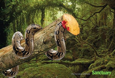 Shocking Effects Of Deforestation Exposed In Brutal Print Ads