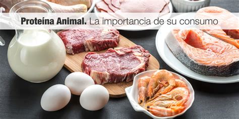 Proteína Animal. La importancia de su consumo | Código F