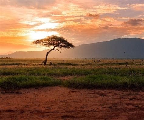 Beautiful African Landscape