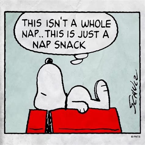 Nap snack | Snoopy love, Snoopy