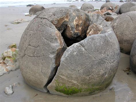 File:Moeraki-boulder-split b.jpg - Wikipedia