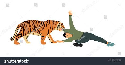 Tiger Attacks Man Vector Illustration Isolated: เวกเตอร์สต็อก (ปลอดค่า ...