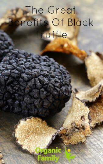 The Great Benefits Of Black Truffle | Black truffle, Truffle mushroom, Truffles