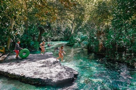 Kelly Park Rock Springs: Tubing Tips for Florida's Lazy River