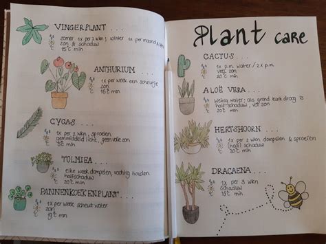 Bullet journal plant care Bullet Journal Tracker, Bullet Journal Inspo ...