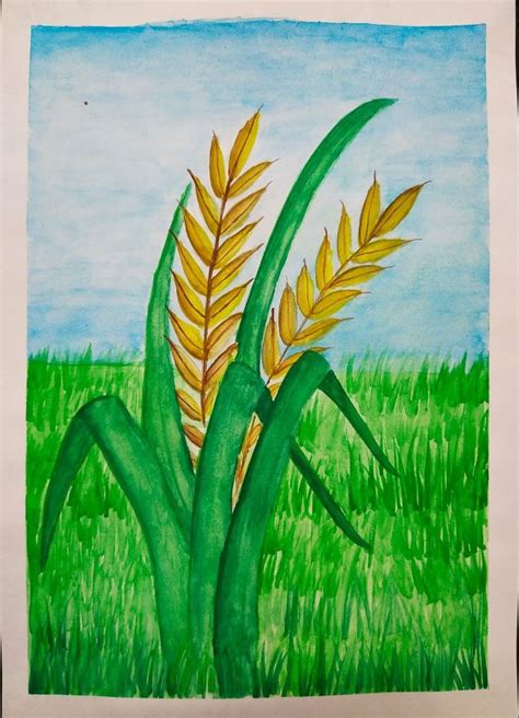 Watercolor Painting of rice crop | Painting, Art painting, Drawings