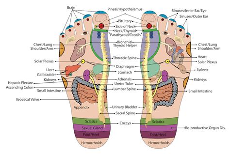 Pressure Points Of Foot