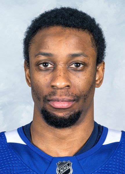 Wayne Simmonds Hockey Stats and Profile at hockeydb.com