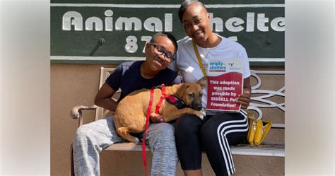 Humane Society of Marion County helps over 90 dogs and cats find new homes - Ocala-News.com