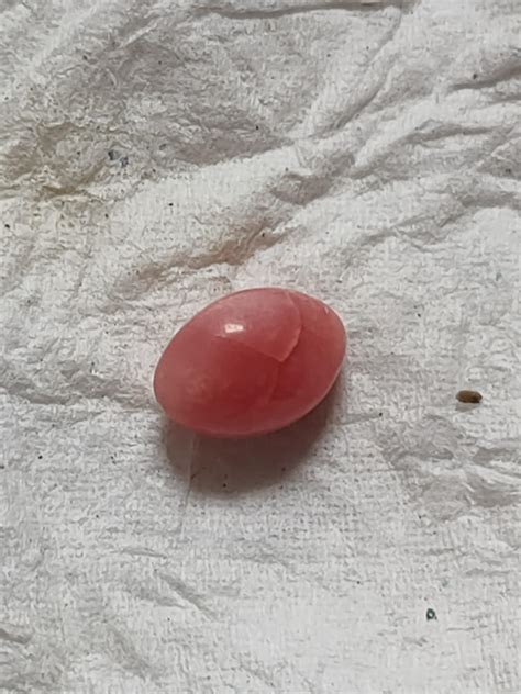 This is a Mexican Pink sea snail pearl, is this valuable? : r/Gemstones