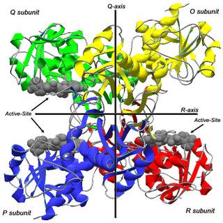 (PDF) Oxidatively Modified Glyceraldehyde-3-Phosphate Dehydrogenase (GAPDH) and Alzheimer ...