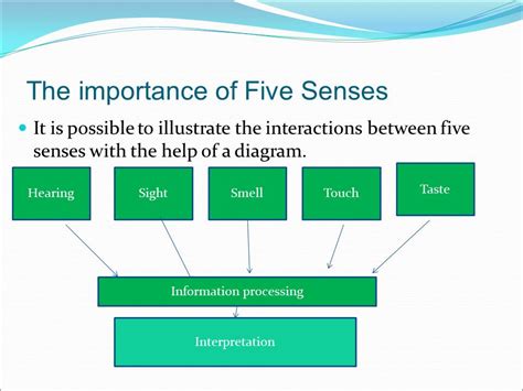 Perception and Critical Thinking: The Relations Between the Cognitive Processes - 343 Words ...