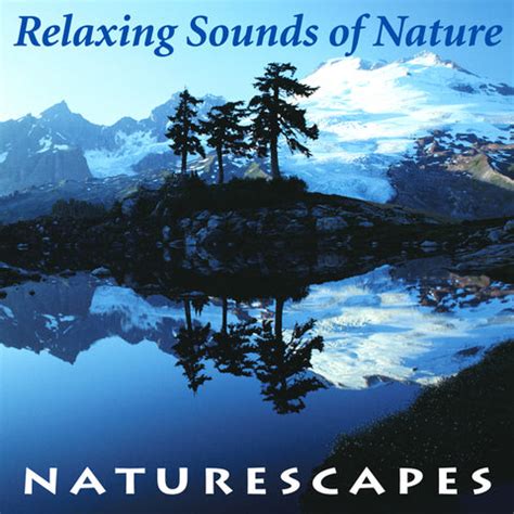 RELAXING NATURE, water sounds, pacific ocean, rain, thunder, relax – Relax-TV