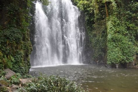 Kakochang Waterfalls | Kaziranga - What to Expect | Timings | Tips - Trip Ideas by MakeMyTrip