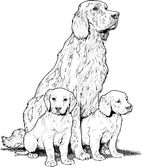 Dog Breed Coloring Pages