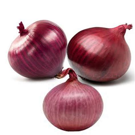 Best Quality Red Onion Exporter in India