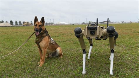 Robot dogs arrive at Tyndall AFB > Air University (AU) > Air University News