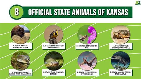 Discover the 8 Official State Animals of Kansas - A-Z Animals