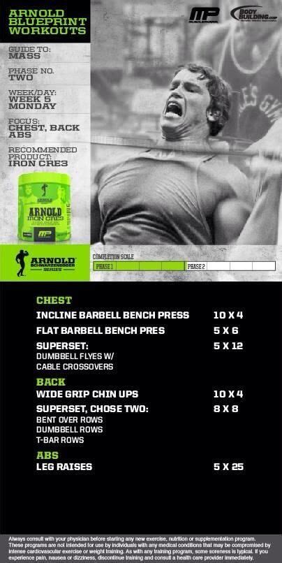 Arnold Back Workout