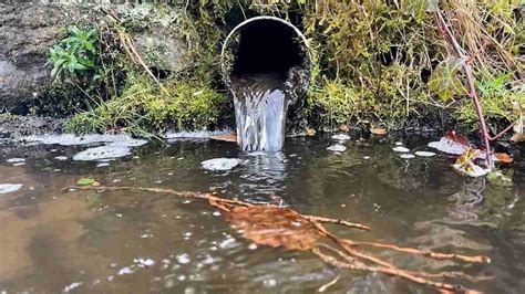 Eugh! Water companies released raw sewage into English waterways ...