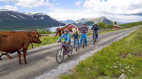 Cycling - Valdres