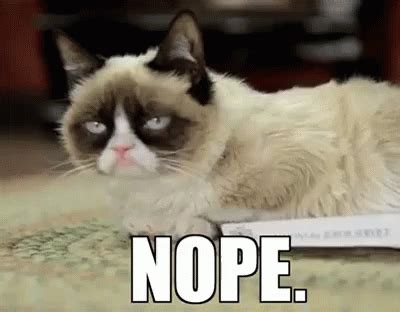 Nope GIF - GrumpyCat Cat Nope - Discover & Share GIFs