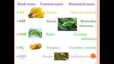 All Plants Name List