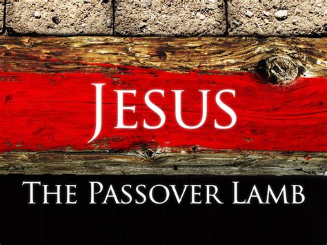 Grace Grace: Week 79: Seeing Jesus In OT - The Passover Lamb