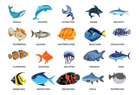 Fish Types Vector Art, Icons, and Graphics for Free Download