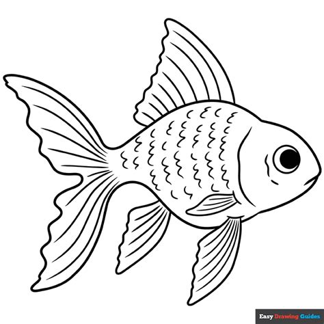 Easy Realistic Goldfish Coloring Page | Easy Drawing Guides