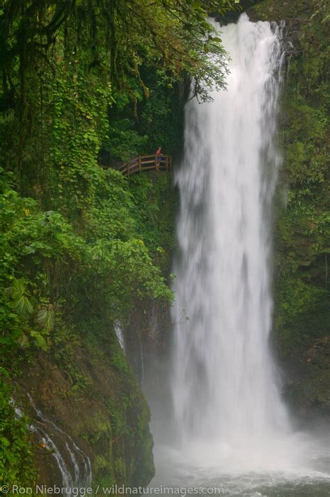 La Paz Waterfall Gardens | Photos by Ron Niebrugge