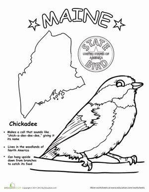 Massachusetts State Bird Coloring Page - AWEDLI