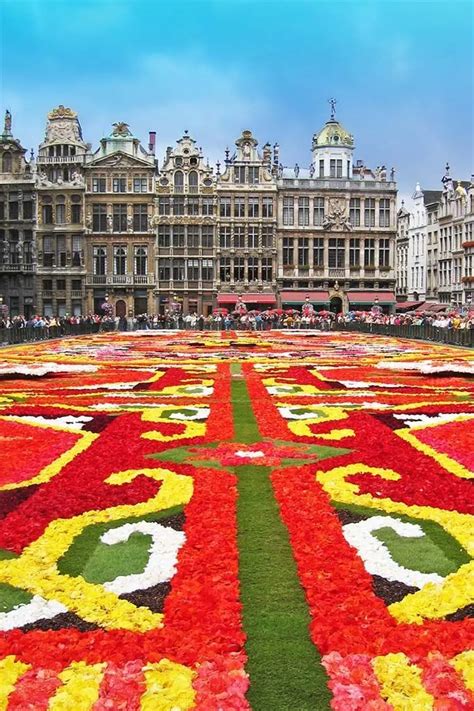 Brussels Flower Carpet: Ultimate Guide, 2024 Dates & Tips for Your Visit