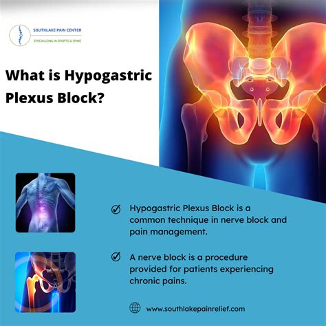 Hypogastric Nerve