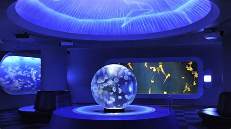 Enoshima Aquarium | Attractions in Enoshima, Tokyo